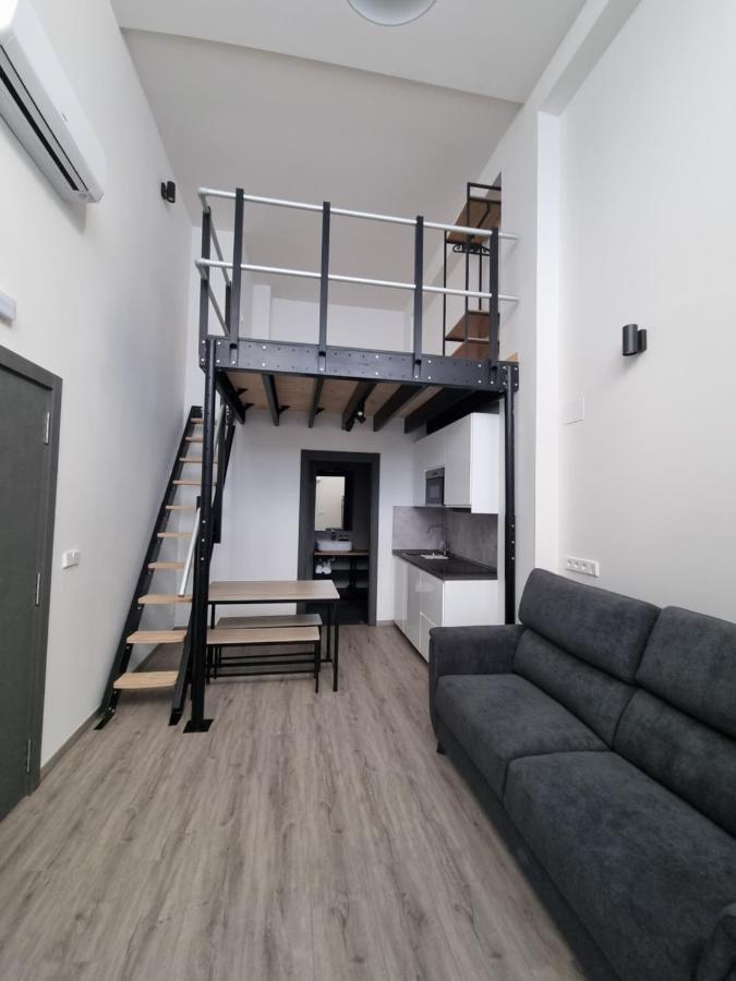 Kabialde Apartamentuak Tss00134 サラウツ エクステリア 写真
